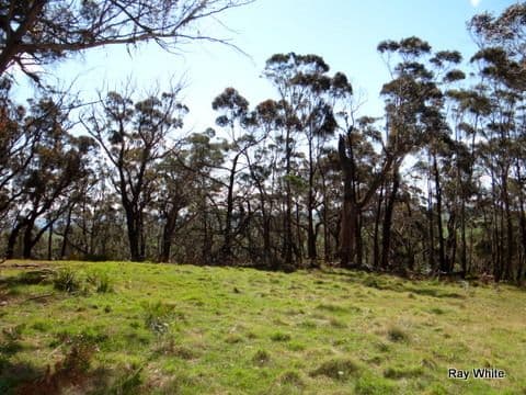 105 Kings Highway, Braidwood NSW 2622, Braidwood - Thumbnail 2