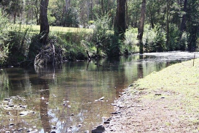 1863 Inverramsay Road, GOOMBURRA QLD 4362, Goomburra - Thumbnail 2