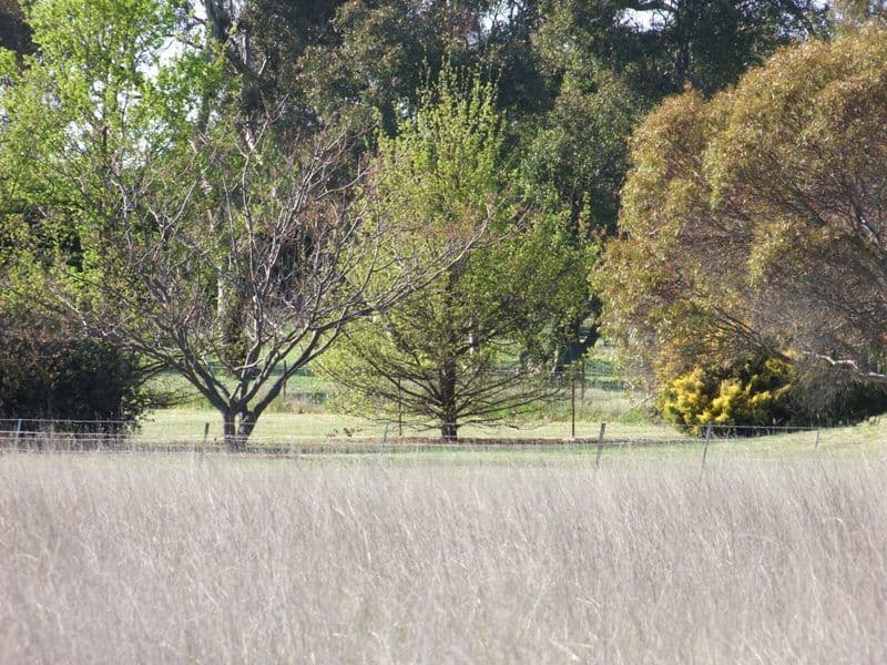 0 Laffing Waters Lane, BATHURST NSW 2795, Bathurst - Thumbnail 8