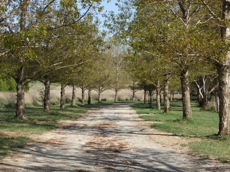 0 Laffing Waters Lane, BATHURST NSW 2795, Bathurst - Thumbnail 3