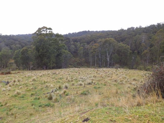 Lot 4 Off Putty Valley Road, PUTTY NSW 2330, Putty - Thumbnail 4