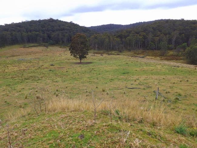 Lot 4 Off Putty Valley Road, PUTTY NSW 2330, Putty - Thumbnail 2