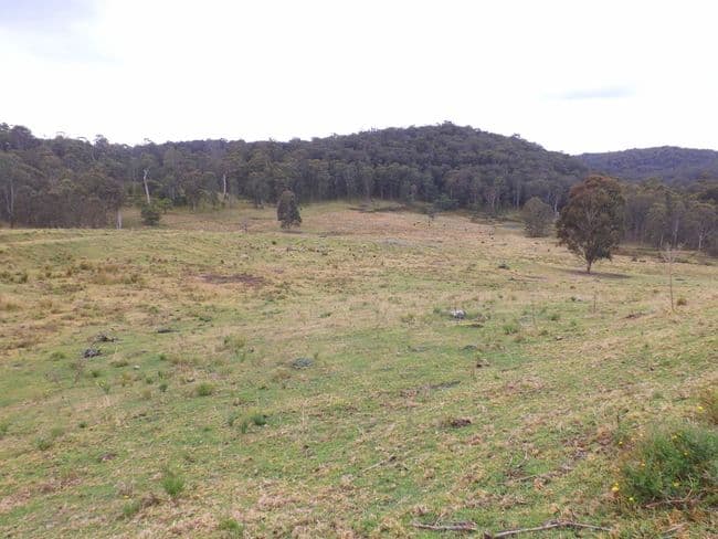 Lot 4 Off Putty Valley Road, PUTTY NSW 2330, Putty - Thumbnail 3