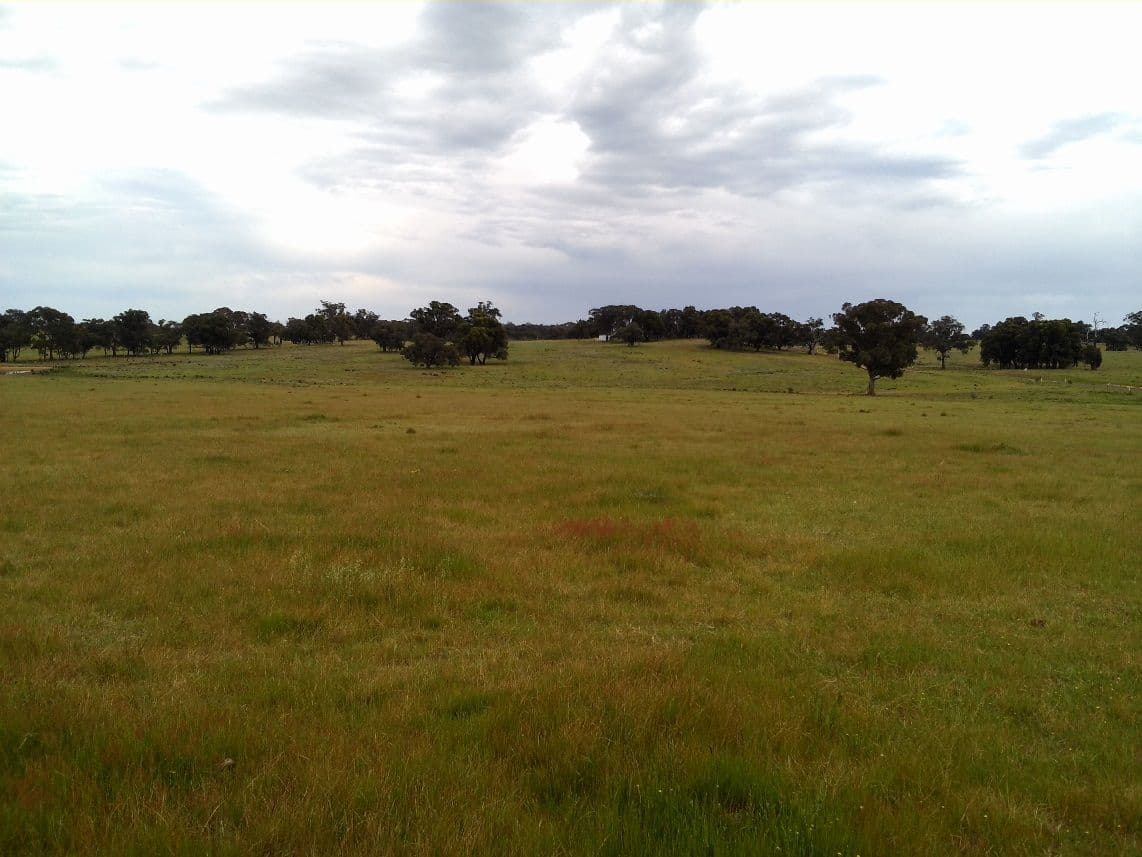 Lot 8 Tuscan Court, HEATHCOTE VIC 3523, Heathcote - Thumbnail 3