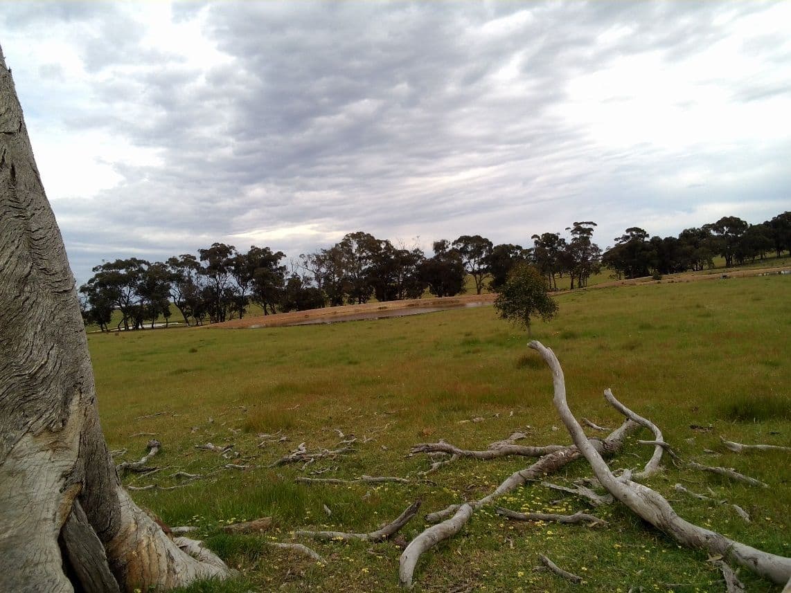 Lot 8 Tuscan Court, HEATHCOTE VIC 3523, Heathcote - Thumbnail 4