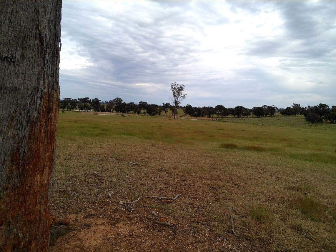 Lot 8 Tuscan Court, HEATHCOTE VIC 3523, Heathcote - Thumbnail 6