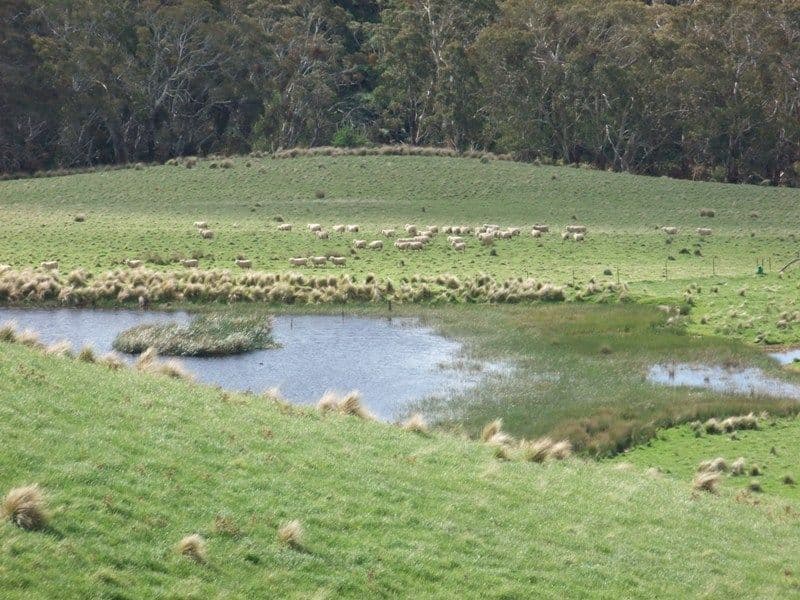 BATHURST NSW 2795, Bathurst - Thumbnail 3