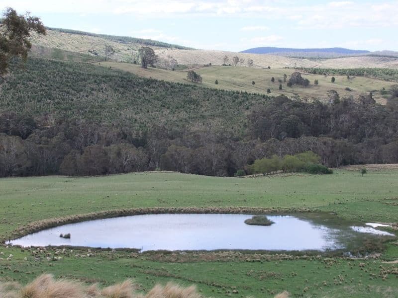 BATHURST NSW 2795, Bathurst - Thumbnail 8