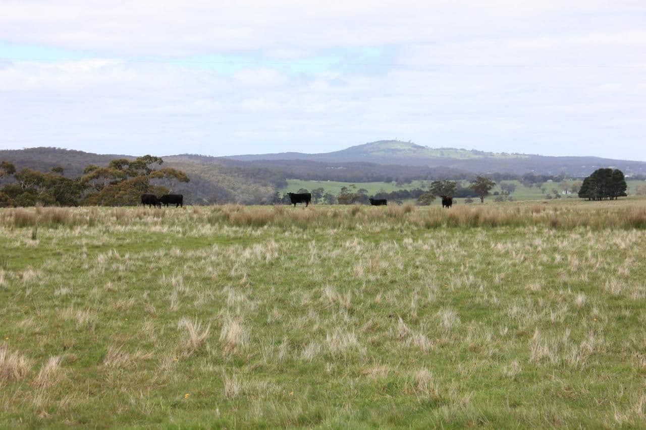 BALLAN VIC 3342, Ballan - Thumbnail 2