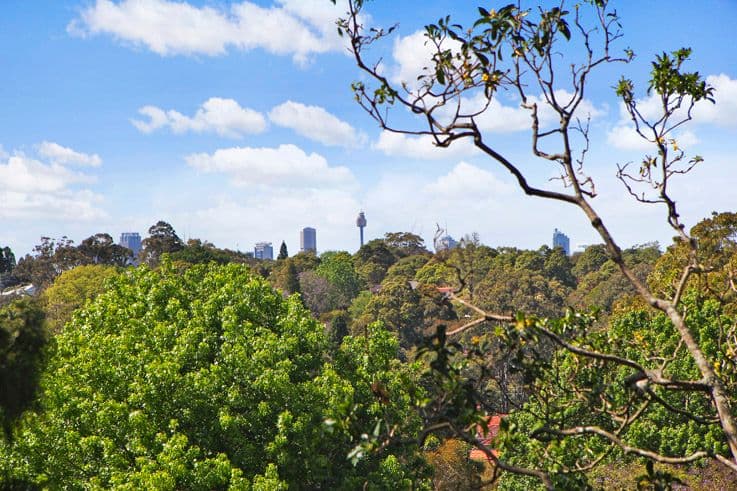 138 Burns Bay Road, LANE COVE NSW 2066, Lane Cove - Thumbnail 4