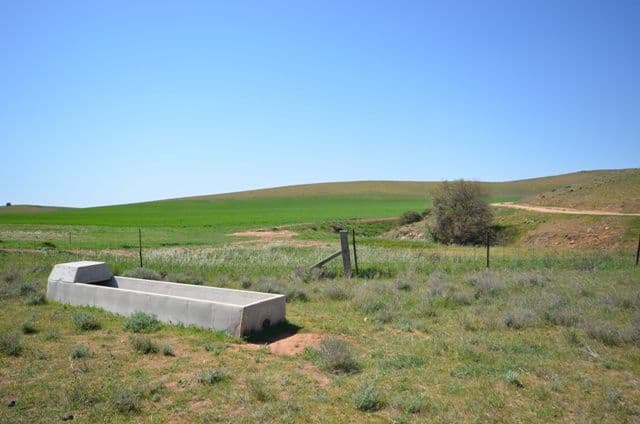 . "Nicholson's", EUDUNDA SA 5374, Eudunda - Thumbnail 3