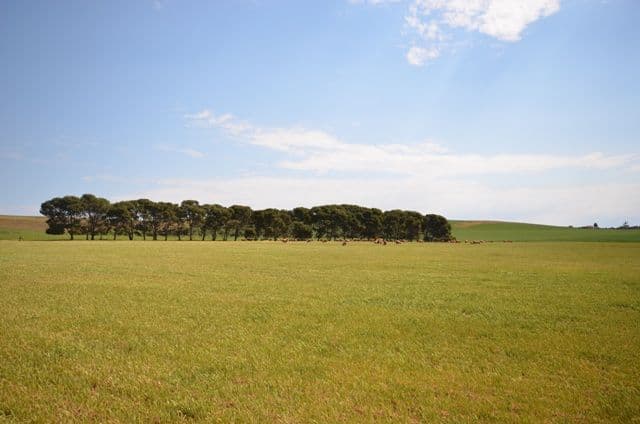 . "Nicholson's", EUDUNDA SA 5374, Eudunda - Thumbnail 6