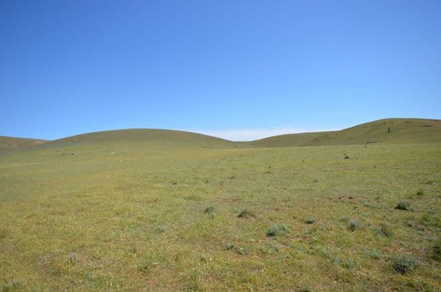 . "Nicholson's", EUDUNDA SA 5374, Eudunda - Thumbnail 5