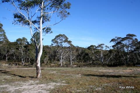 89 Nerriga Road, BRAIDWOOD NSW 2622, Braidwood - Thumbnail 5