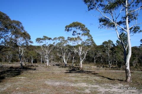 89 Nerriga Road, BRAIDWOOD NSW 2622, Braidwood - Thumbnail 6