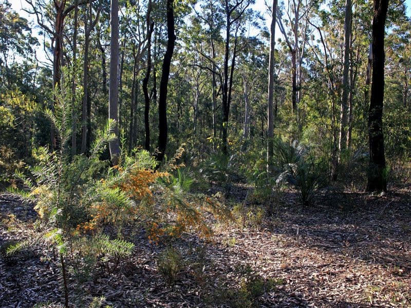 Lot 3 Gannet Road, BAMARANG NSW 2540, Bamarang - Thumbnail 7