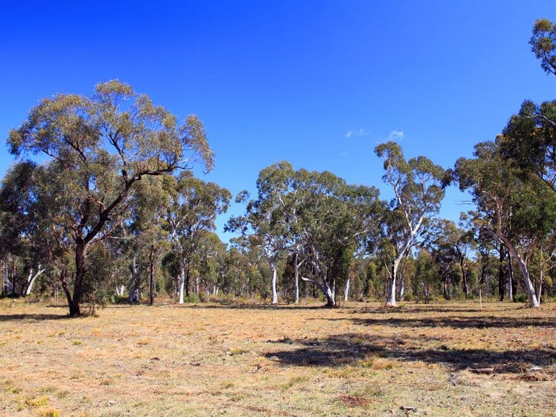 Lot 3 Gannet Road, BAMARANG NSW 2540, Bamarang - Thumbnail 3