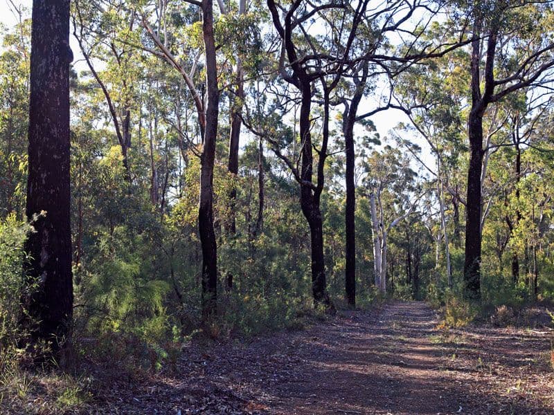 Lot 3 Gannet Road, BAMARANG NSW 2540, Bamarang - Thumbnail 8