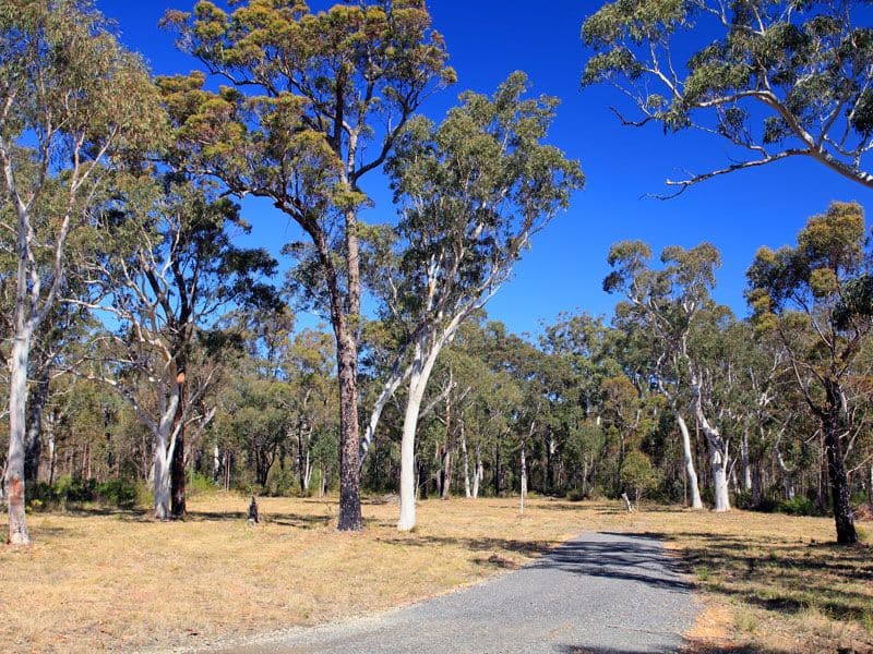 Lot 3 Gannet Road, BAMARANG NSW 2540, Bamarang - Image 1