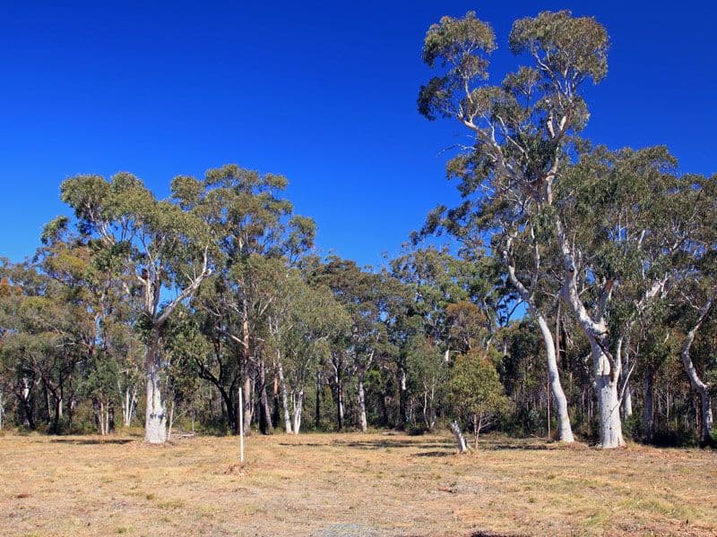 Lot 3 Gannet Road, BAMARANG NSW 2540, Bamarang - Thumbnail 4