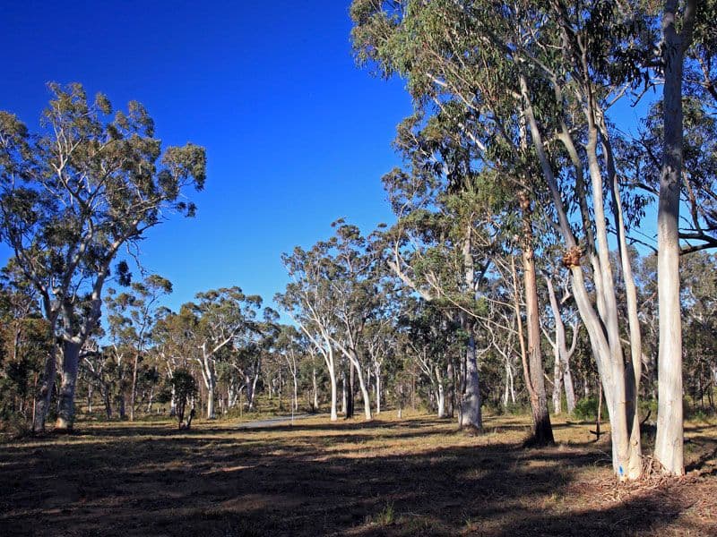 Lot 3 Gannet Road, BAMARANG NSW 2540, Bamarang - Thumbnail 5