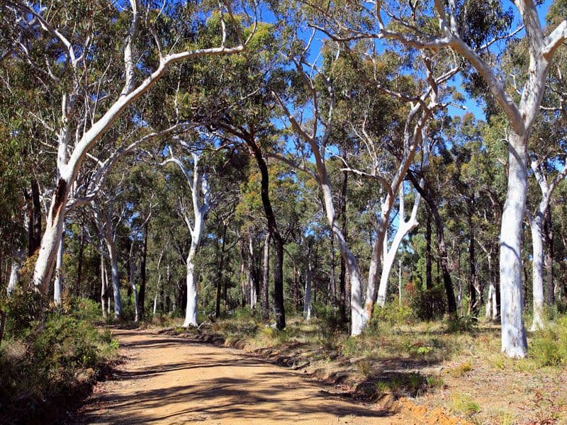 Lot 5 Gannet Road, BAMARANG NSW 2540, Bamarang - Thumbnail 7