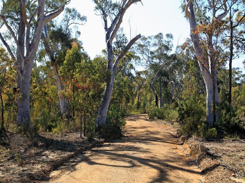 Lot 5 Gannet Road, BAMARANG NSW 2540, Bamarang - Thumbnail 5