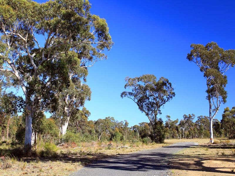 Lot 5 Gannet Road, BAMARANG NSW 2540, Bamarang - Thumbnail 2