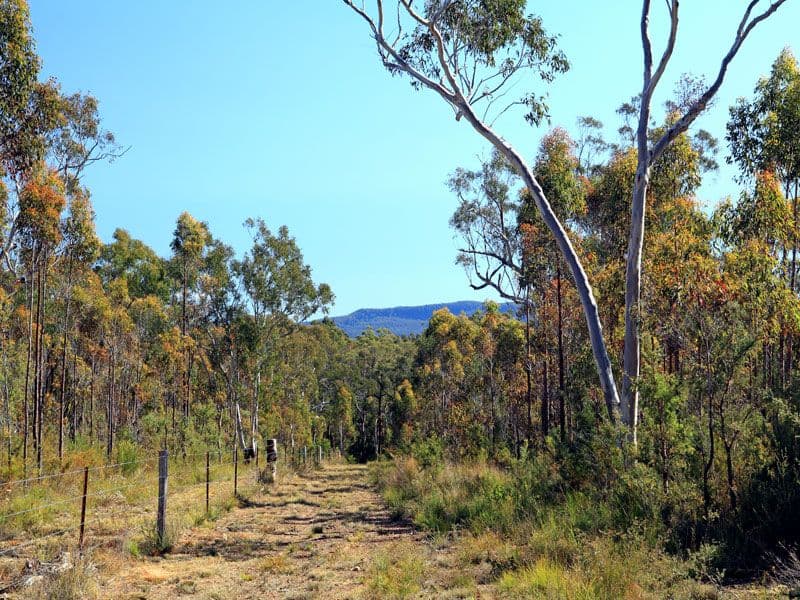 Lot 5 Gannet Road, BAMARANG NSW 2540, Bamarang - Thumbnail 6