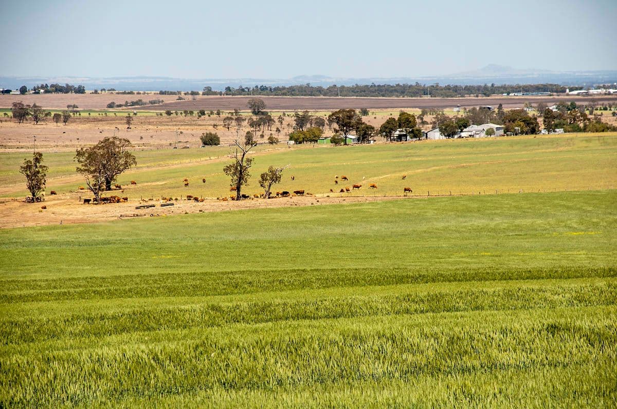 "Bevell-Dean" Lot 1 Millmerran Road, YARRANLEA QLD 4356, Yarranlea - Thumbnail 2