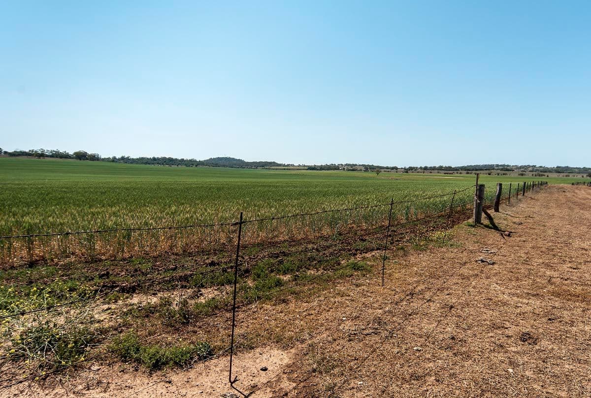 "Bevell-Dean" Lot 1 Millmerran Road, YARRANLEA QLD 4356, Yarranlea - Thumbnail 6