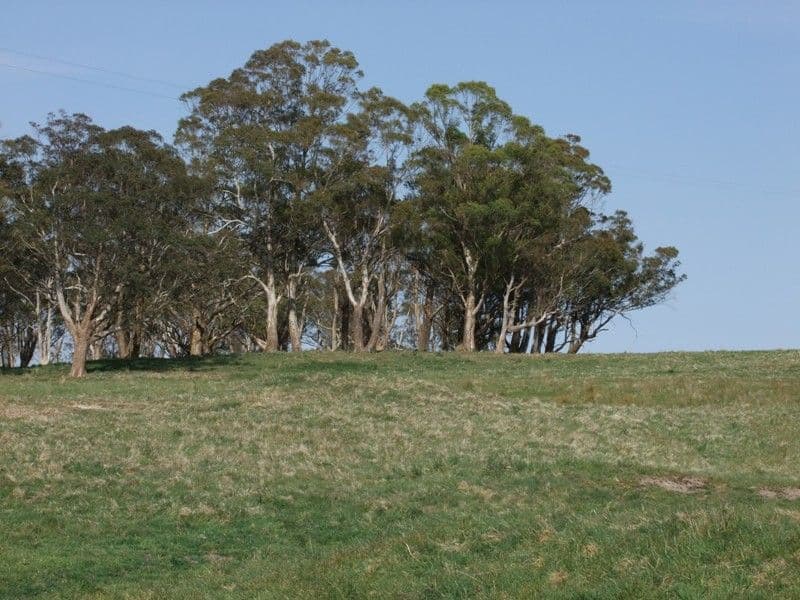 OBERON NSW 2787, Oberon - Thumbnail 6
