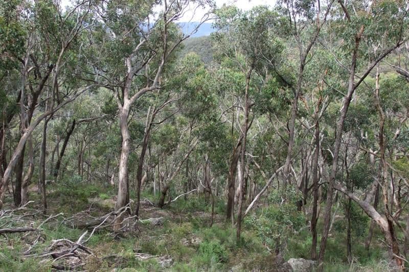 0 Freemantle Road, BATHURST NSW 2795, Bathurst - Thumbnail 6