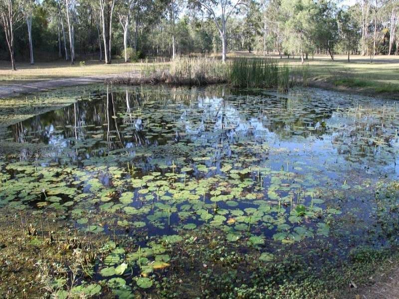 41 Yalkarra Crescent, WURDONG HEIGHTS QLD 4680, Wurdong Heights - Image 1