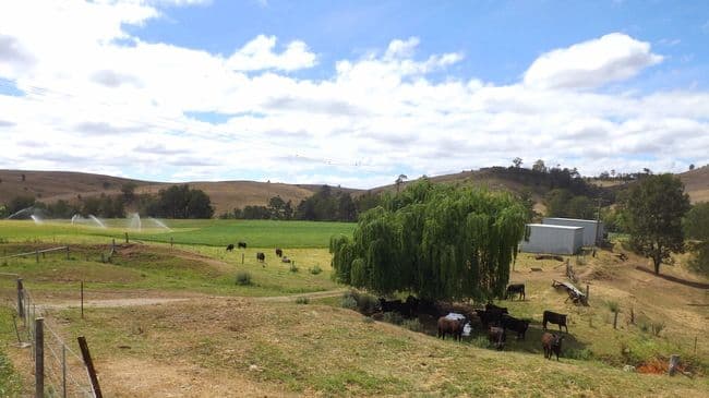 Lot 2 1064 Middle Falbrook Road, SINGLETON NSW 2330, Singleton - Thumbnail 2
