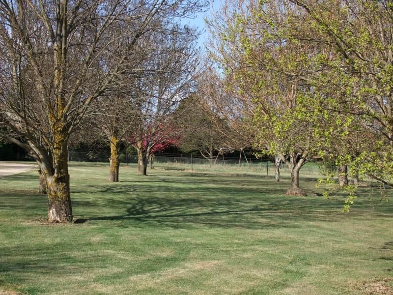 359 Eleven Mile Drive, BATHURST NSW 2795, Bathurst - Thumbnail 2
