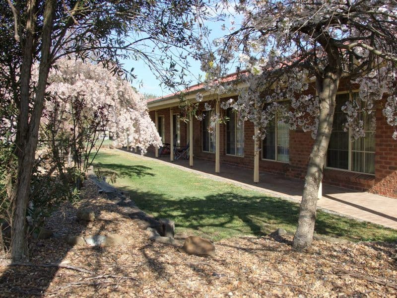 359 Eleven Mile Drive, BATHURST NSW 2795, Bathurst - Image 1