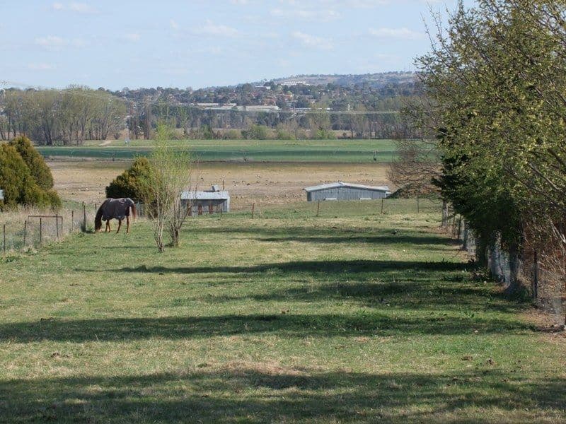 359 Eleven Mile Drive, BATHURST NSW 2795, Bathurst - Thumbnail 7