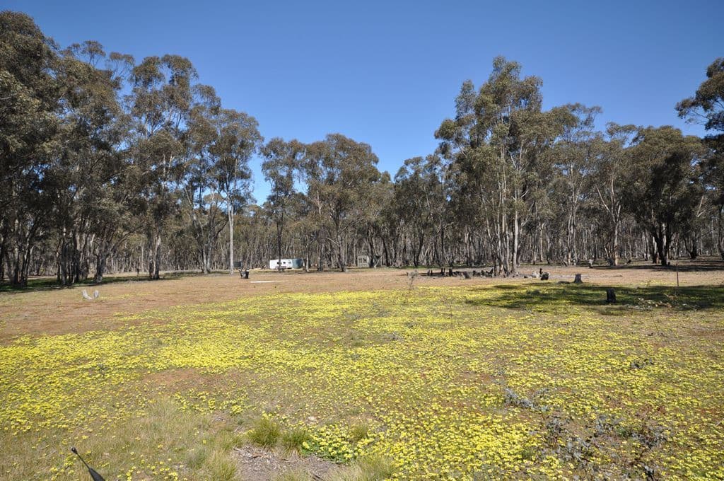 114 Collings Road, TALBOT  Victoria  3371, Australia, Talbot - Thumbnail 5