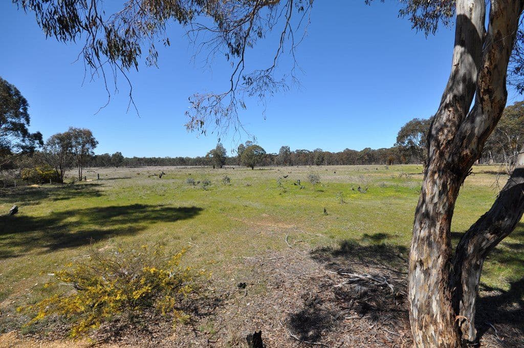114 Collings Road, TALBOT  Victoria  3371, Australia, Talbot - Thumbnail 3