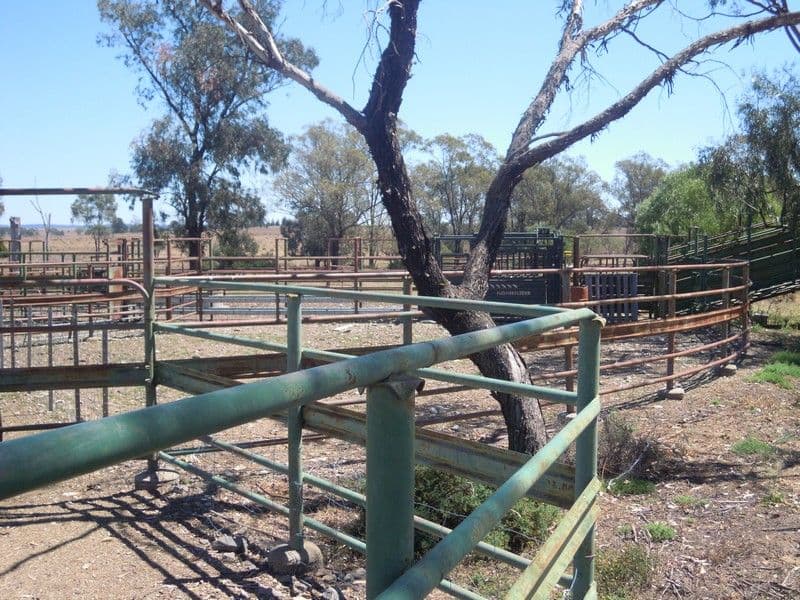 0 Paton, MILLMERRAN QLD 4357, Millmerran - Thumbnail 4