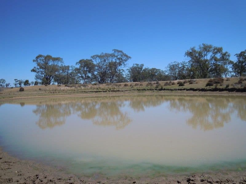 0 Paton, MILLMERRAN QLD 4357, Millmerran - Thumbnail 7