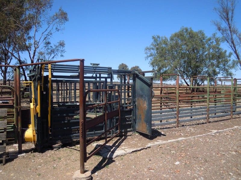 0 Paton, MILLMERRAN QLD 4357, Millmerran - Thumbnail 3