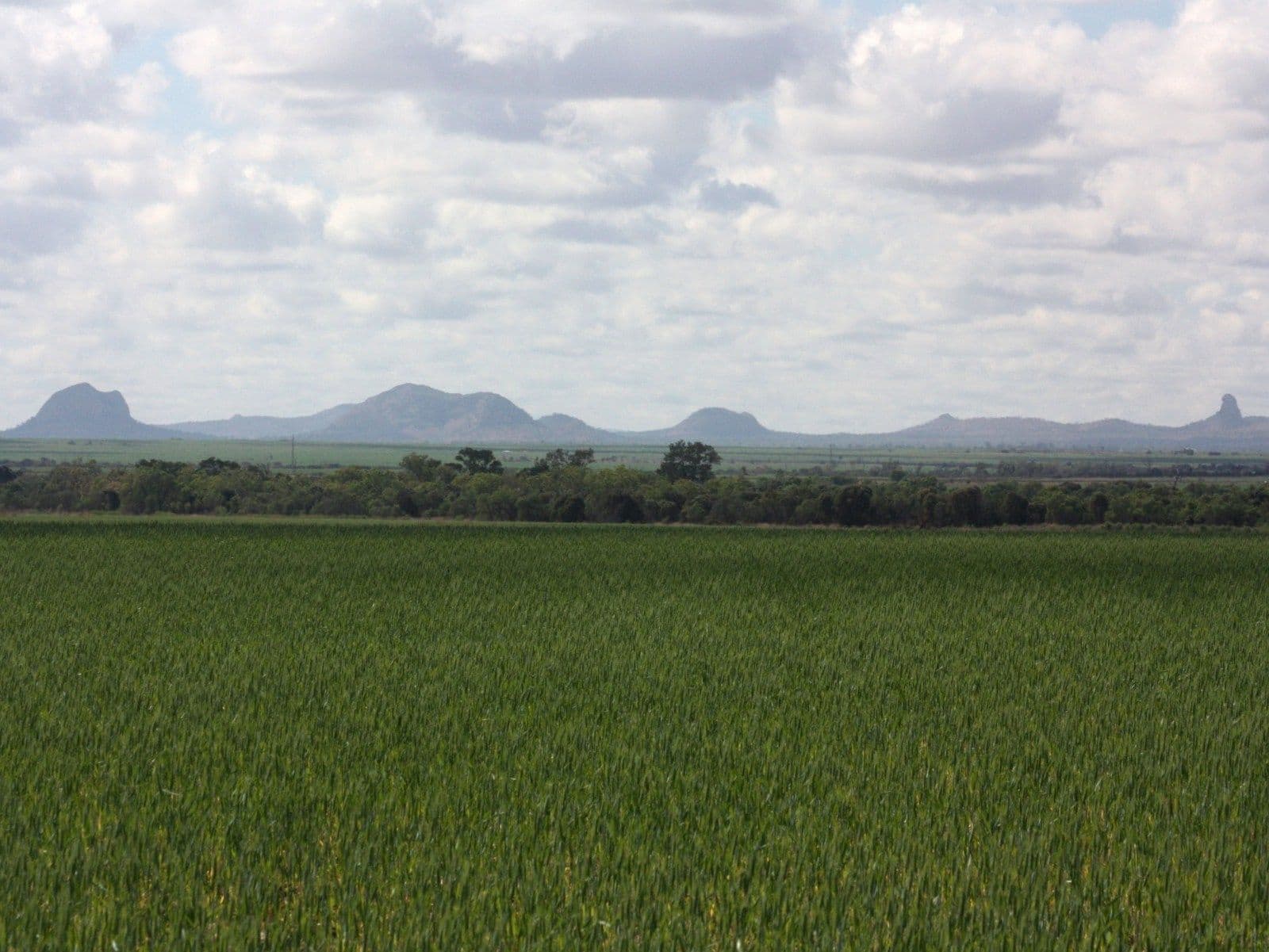 lot 1 Kenlogan Rd, Akamarroo, CLERMONT QLD 4721, Clermont - Image 1
