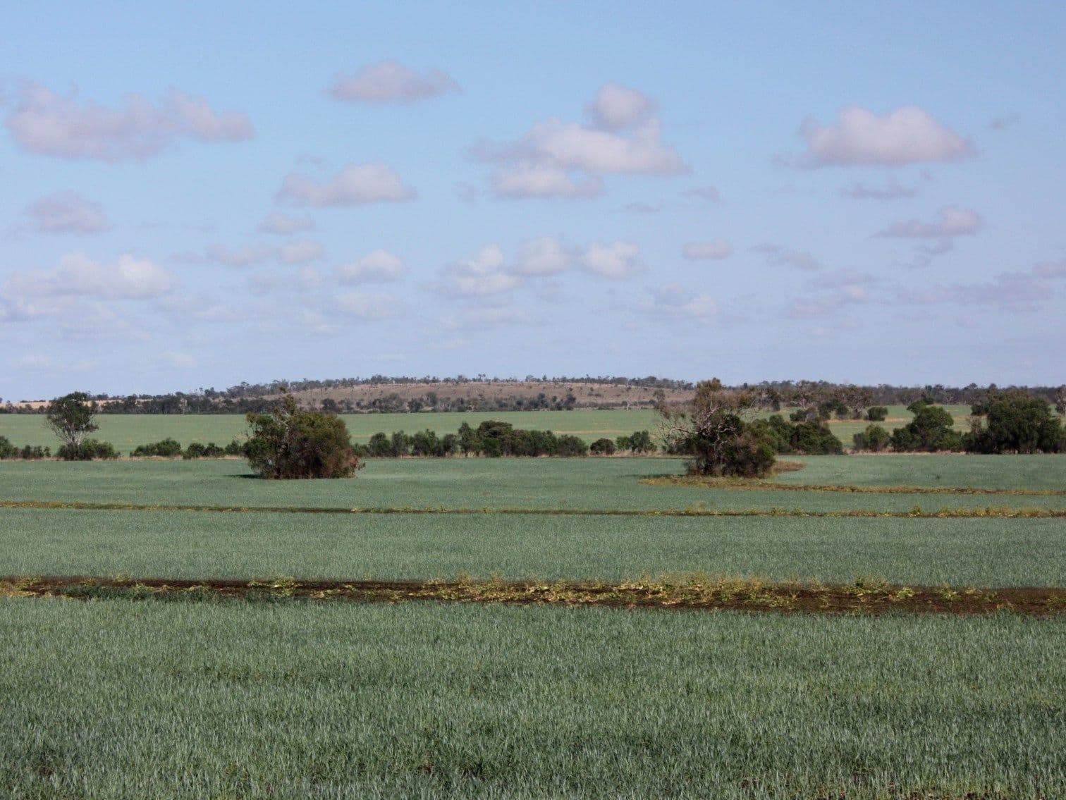 lot 1 Kenlogan Rd, Akamarroo, CLERMONT QLD 4721, Clermont - Thumbnail 3