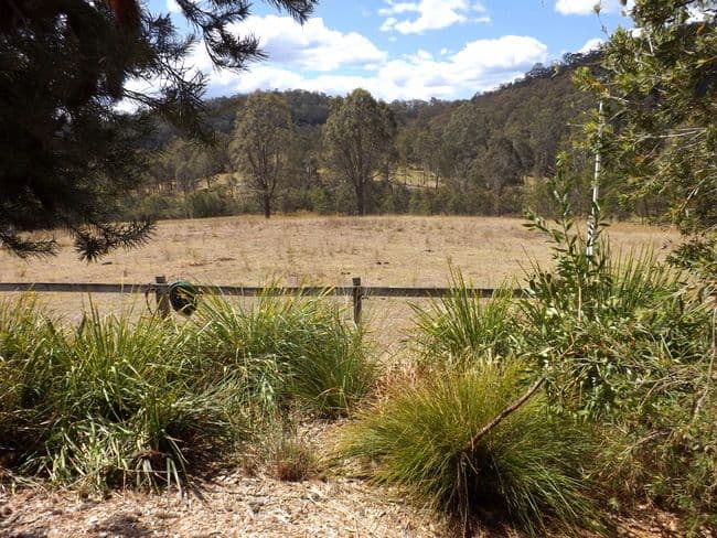 HOWES VALLEY NSW 2330, Howes Valley - Thumbnail 8