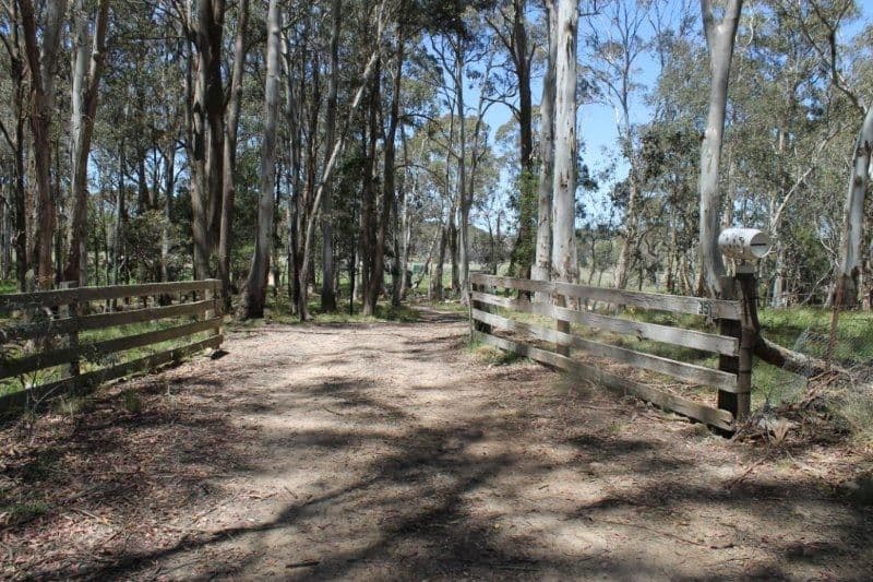 GINGKIN NSW 2787, Gingkin - Thumbnail 2