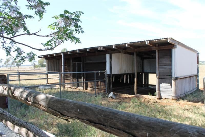 4L Wake Road, DUBBO NSW 2830, Dubbo - Thumbnail 4
