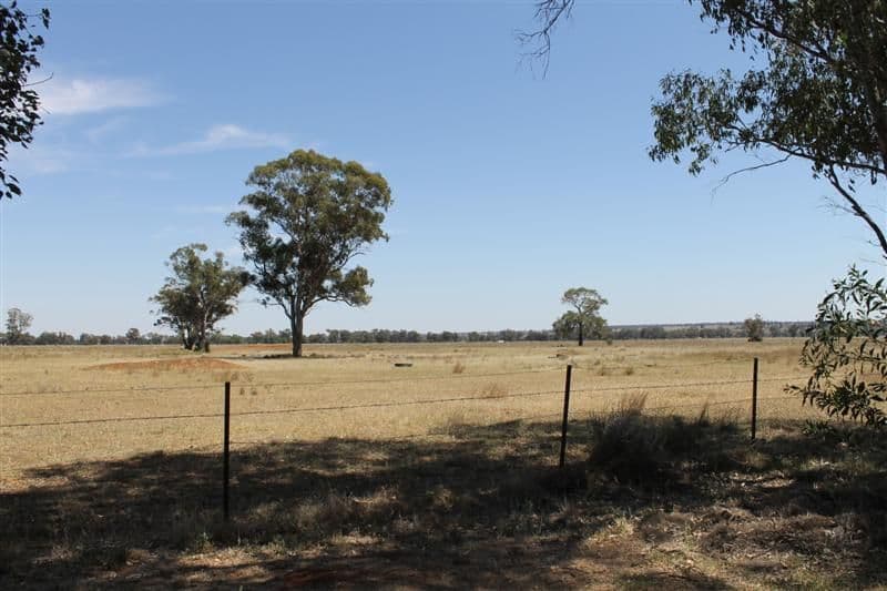 4L Wake Road, DUBBO NSW 2830, Dubbo - Thumbnail 7