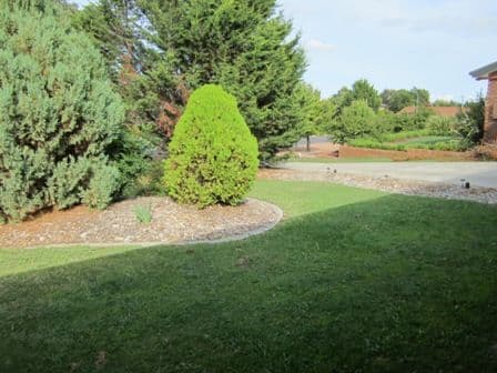 5 Edmond Close, GILMORE ACT 2905, Gilmore - Image 1